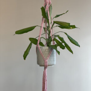 Stor Ampel - Rose