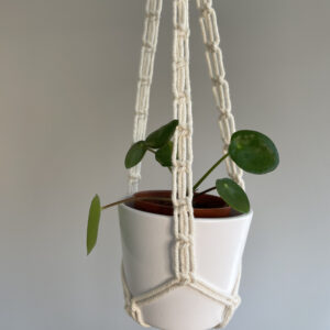 Liten Ampel - Mini