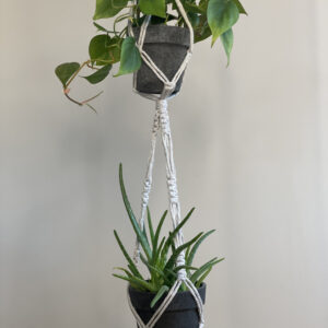 Dubbel Ampel - Grey