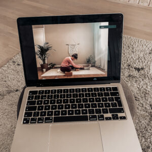 Digitala liveklasser via zoom